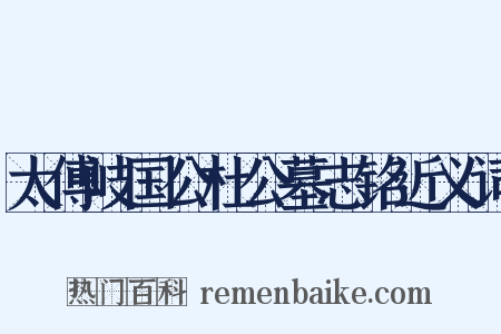 太傅岐国公杜公墓志铭近义词是什么意思的图片